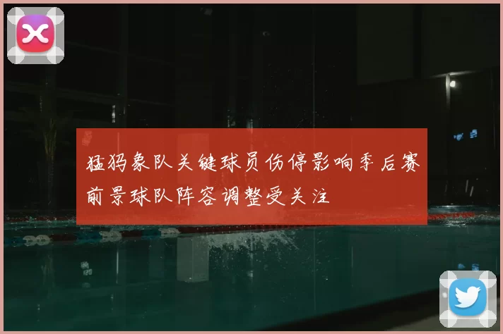 猛犸象队关键球员伤停影响季后赛前景球队阵容调整受关注