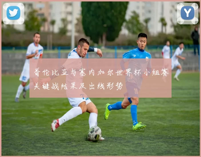 哥伦比亚与塞内加尔世界杯小组赛关键战结果及出线形势