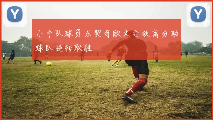 小牛队球员东契奇欧文合砍高分助球队逆转取胜