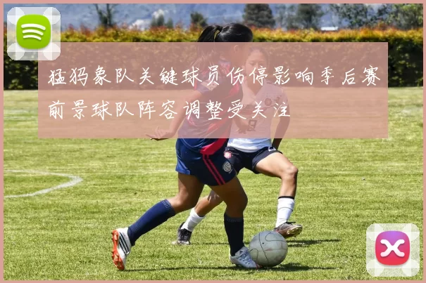 猛犸象队关键球员伤停影响季后赛前景球队阵容调整受关注