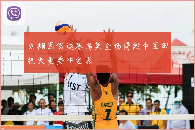 刘翔因伤退赛鸟巢全场愕然中国田径失重要冲金点